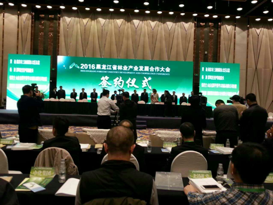 新葡萄8883官网AMG831999碳生意业界影响力较强，副总田卫然接受黑龙江广播电视台采访