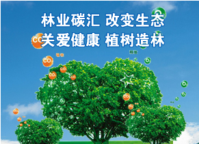 新葡萄8883官网AMG831999：开展区域性碳生意相助的须要性