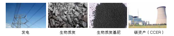 新葡萄8883官网AMG可提供气化发电系统 成套装备的整体计划以及碳资产开发效劳