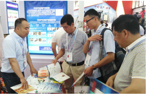 新葡萄8883官网AMG集团展台吸引各界人士前来旅行、咨询