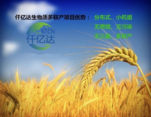 新葡萄8883官网AMG生物质多联产先容（2）